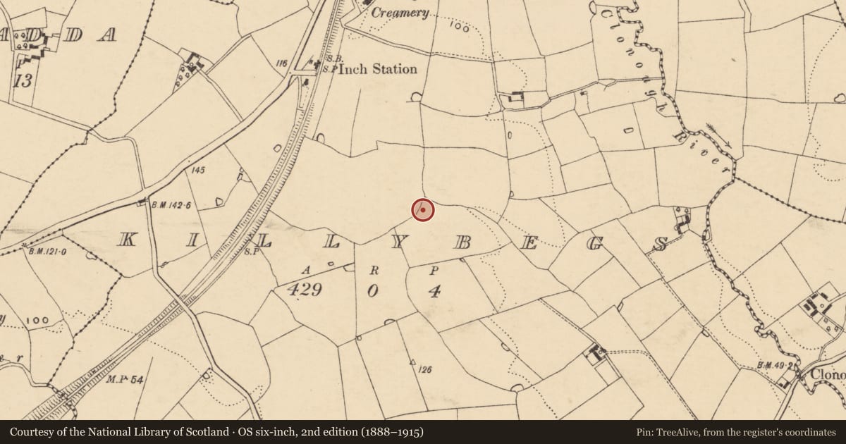 Ordnance Survey six-inch map, 2nd edition (1888–1915) covering the location of Fulacht fia, Killybegs, County Wexford, with a pin at the register's coordinates