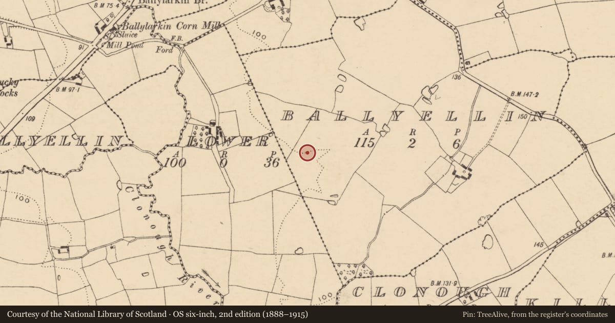 Ordnance Survey six-inch map, 2nd edition (1888–1915) covering the location of Fulacht fia, Ballyellin, County Wexford, with a pin at the register's coordinates