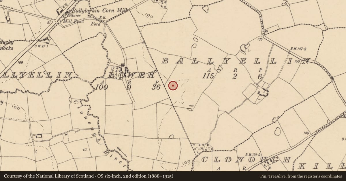 Ordnance Survey six-inch map, 2nd edition (1888–1915) covering the location of Excavation - miscellaneous, Ballyellin, County Wexford, with a pin at the register's coordinates