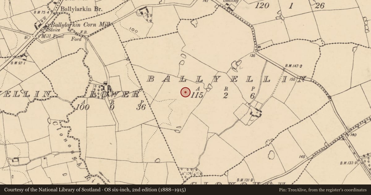 Ordnance Survey six-inch map, 2nd edition (1888–1915) covering the location of Fulacht fia, Ballyellin, County Wexford, with a pin at the register's coordinates