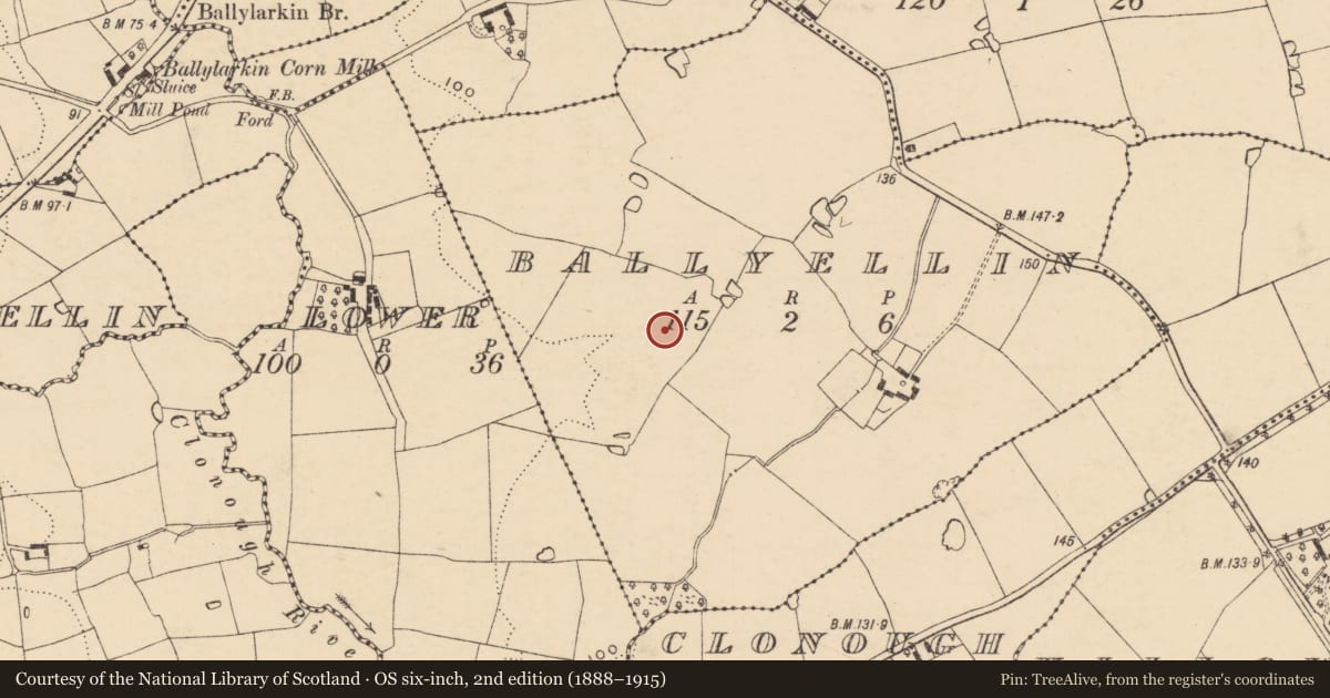 Ordnance Survey six-inch map, 2nd edition (1888–1915) covering the location of Structure, Ballyellin, County Wexford, with a pin at the register's coordinates
