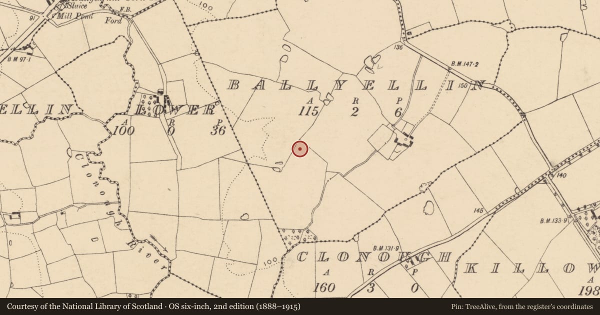 Ordnance Survey six-inch map, 2nd edition (1888–1915) covering the location of Excavation - miscellaneous, Ballyellin, County Wexford, with a pin at the register's coordinates