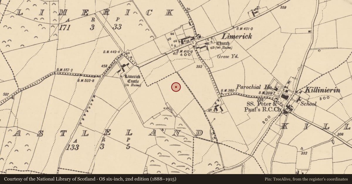 Ordnance Survey six-inch map, 2nd edition (1888–1915) covering the location of Ringfort - rath, Castleland, County Wexford, with a pin at the register's coordinates