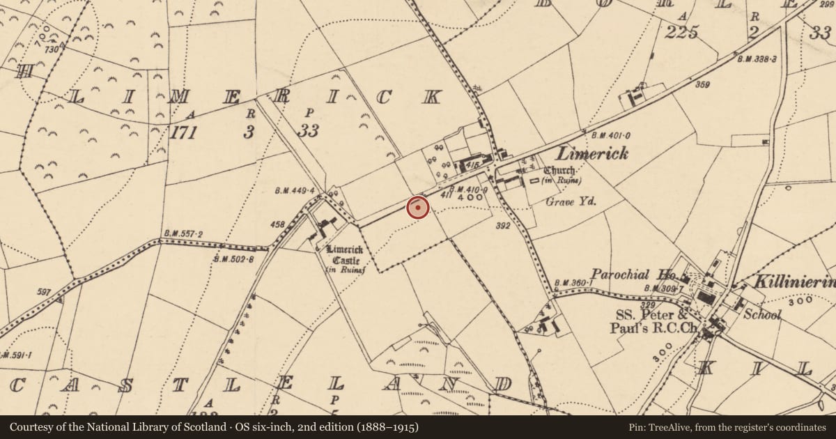 Ordnance Survey six-inch map, 2nd edition (1888–1915) covering the location of Settlement cluster, Limerick, County Wexford, with a pin at the register's coordinates