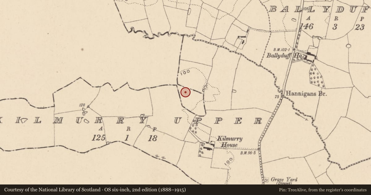 Ordnance Survey six-inch map, 2nd edition (1888–1915) covering the location of Enclosure, Coolroe Great, County Wexford, with a pin at the register's coordinates