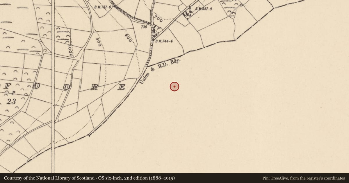 Ordnance Survey six-inch map, 2nd edition (1888–1915) covering the location of Ringfort - rath, Askinch Upper, County Wexford, with a pin at the register's coordinates