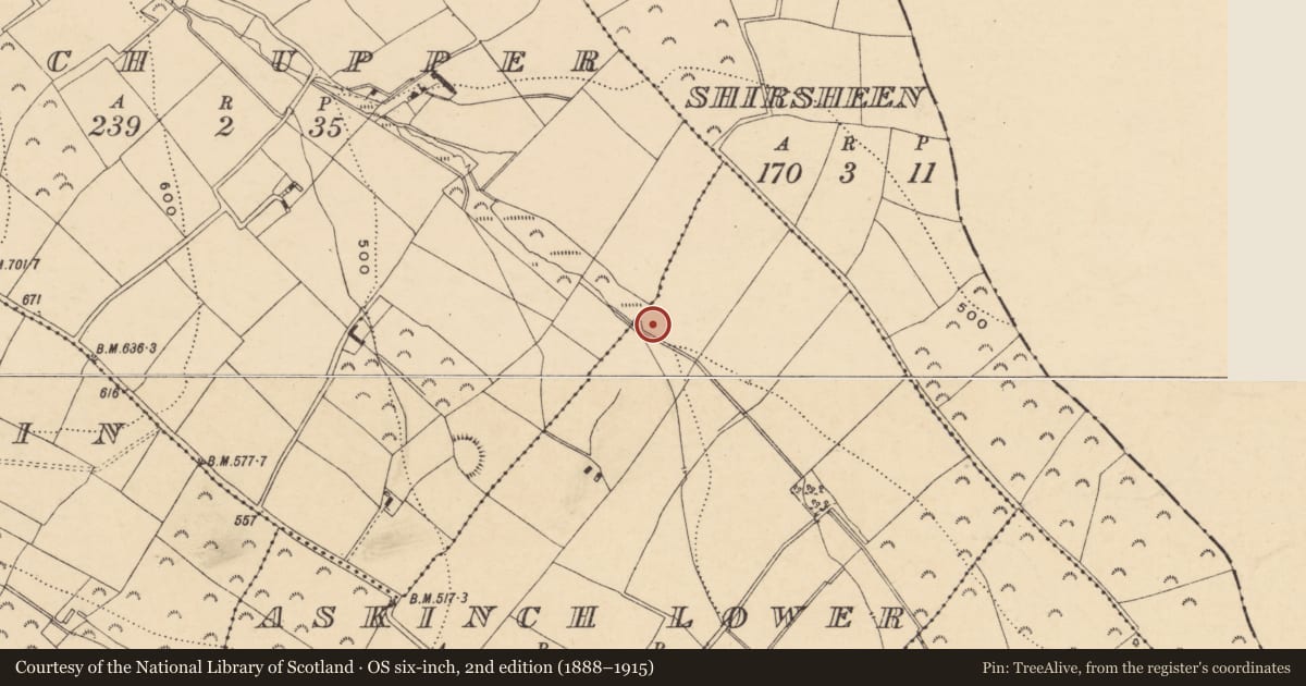 Ordnance Survey six-inch map, 2nd edition (1888–1915) covering the location of Fulacht fia, Askinch Lower, County Wexford, with a pin at the register's coordinates