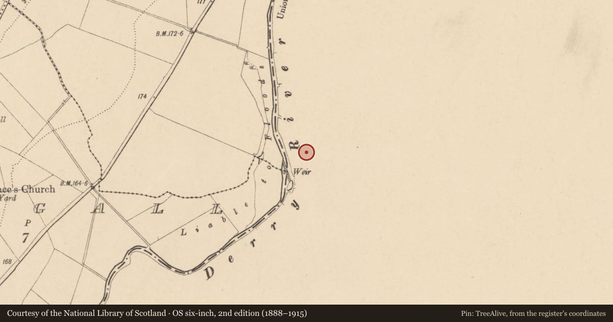 Ordnance Survey six-inch map, 2nd edition (1888–1915) covering the location of Ringfort - rath, Abbeydown, County Wexford, with a pin at the register's coordinates
