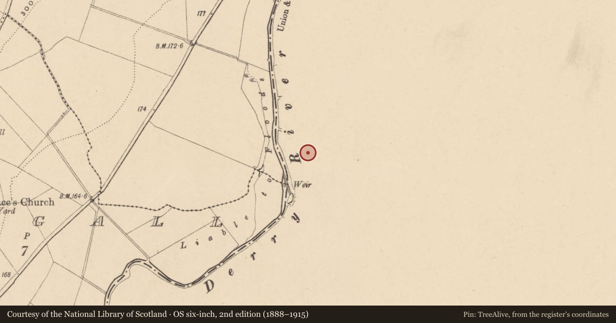 Ordnance Survey six-inch map, 2nd edition (1888–1915) covering the location of Enclosure, Abbeydown, County Wexford, with a pin at the register's coordinates