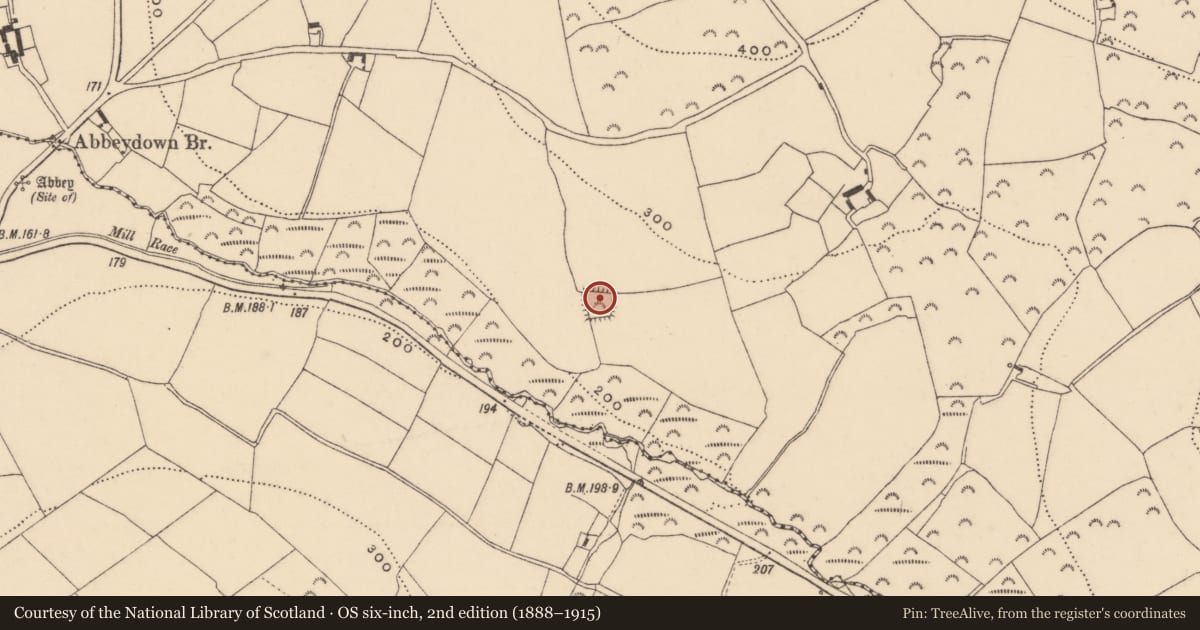 Ordnance Survey six-inch map, 2nd edition (1888–1915) covering the location of Moated site, Garryhasten, County Wexford, with a pin at the register's coordinates