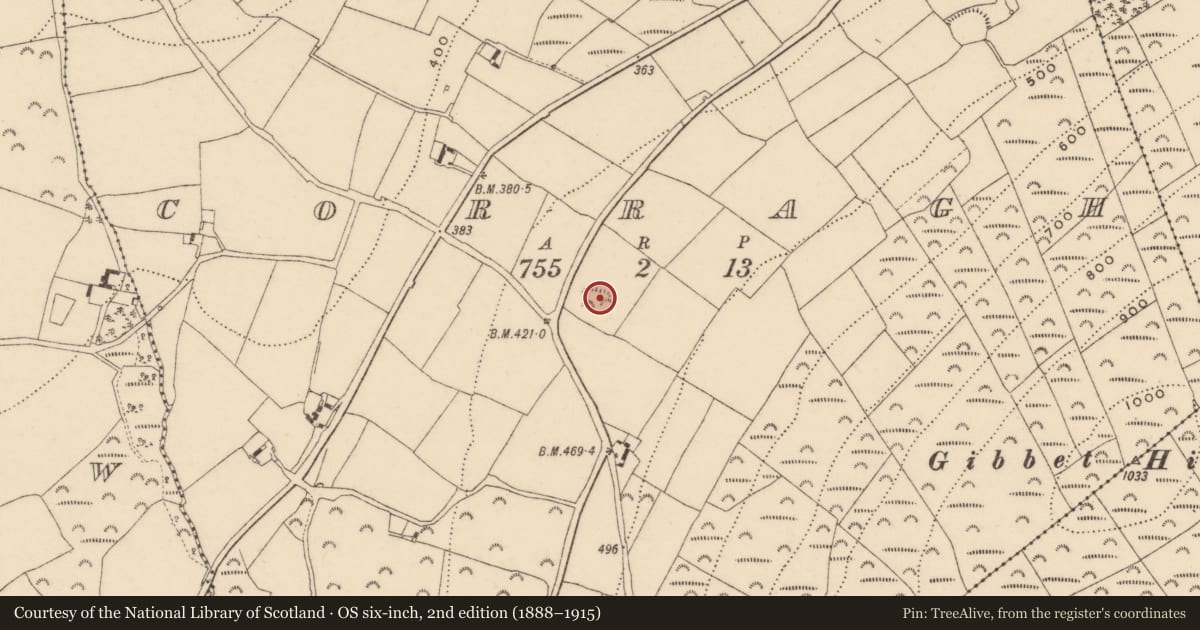 Ordnance Survey six-inch map, 2nd edition (1888–1915) covering the location of Ringfort - unclassified, Corragh, County Wexford, with a pin at the register's coordinates