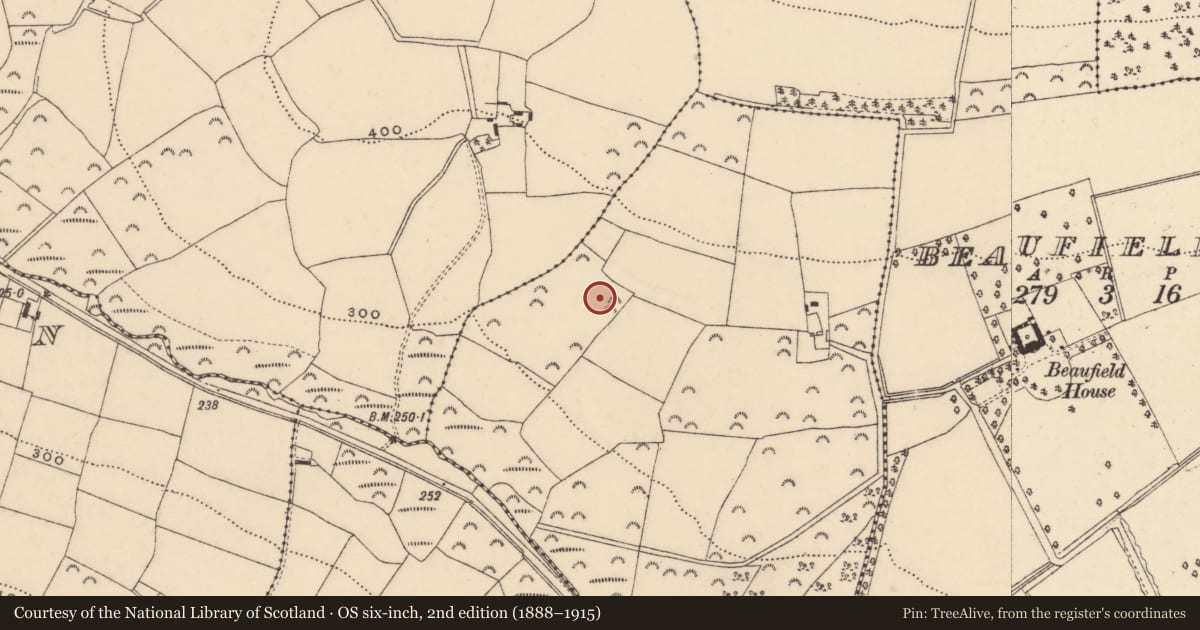 Ordnance Survey six-inch map, 2nd edition (1888–1915) covering the location of Burnt mound, Coolmela Or Prospect, County Wexford, with a pin at the register's coordinates
