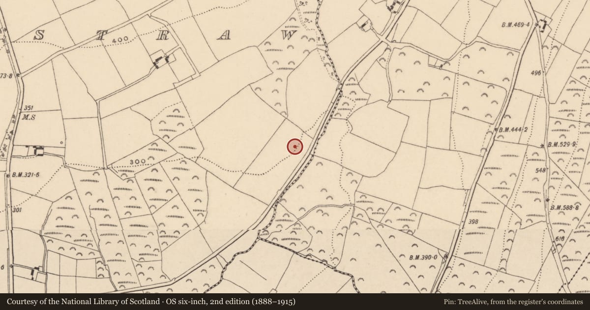 Ordnance Survey six-inch map, 2nd edition (1888–1915) covering the location of Enclosure - large enclosure, Ballynastraw, County Wexford, with a pin at the register's coordinates