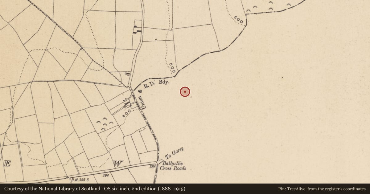 Ordnance Survey six-inch map, 2nd edition (1888–1915) covering the location of Ringfort - unclassified, Park, County Wexford, with a pin at the register's coordinates