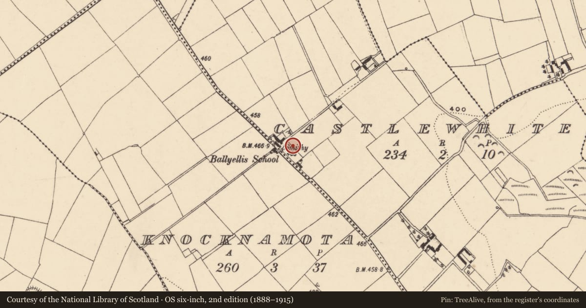 Ordnance Survey six-inch map, 2nd edition (1888–1915) covering the location of Ringfort - unclassified, Castlewhite, County Wexford, with a pin at the register's coordinates