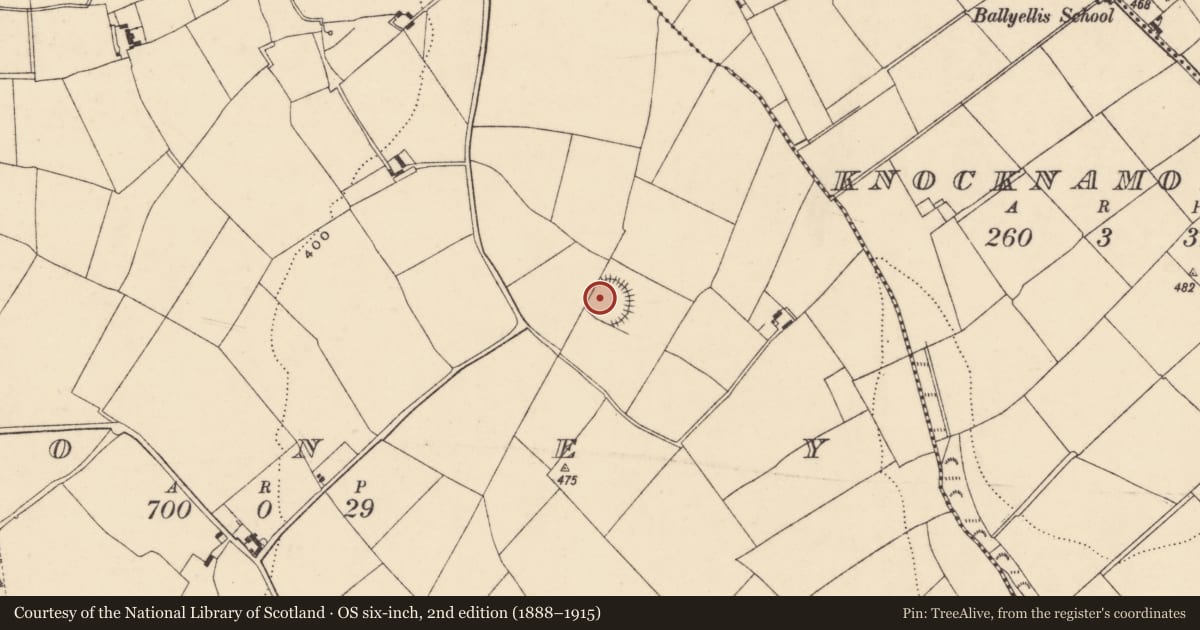 Ordnance Survey six-inch map, 2nd edition (1888–1915) covering the location of Ringfort - unclassified, Money, County Wexford, with a pin at the register's coordinates