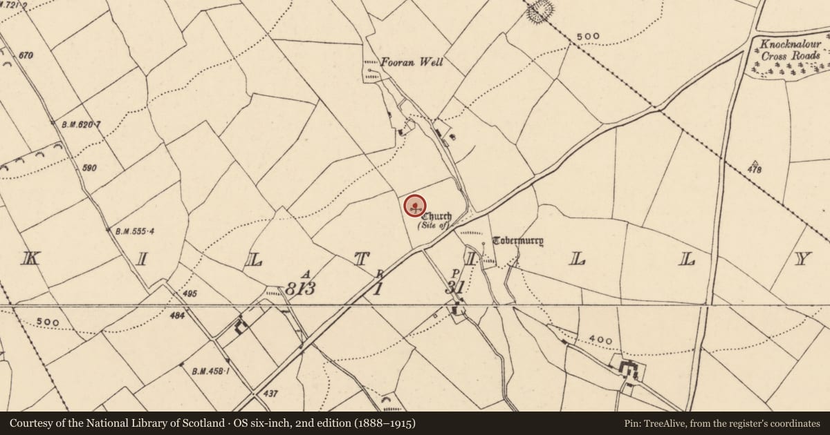 Ordnance Survey six-inch map, 2nd edition (1888–1915) covering the location of Church, Kiltilly, County Wexford, with a pin at the register's coordinates