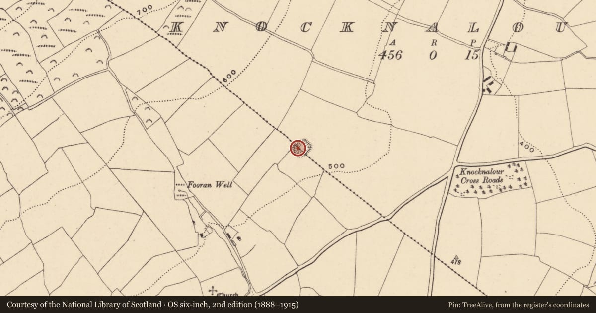 Ordnance Survey six-inch map, 2nd edition (1888–1915) covering the location of Ringfort - rath, Kiltilly, Knocknalour, County Wexford, with a pin at the register's coordinates