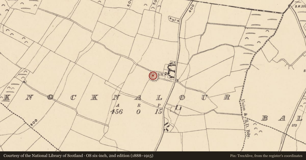 Ordnance Survey six-inch map, 2nd edition (1888–1915) covering the location of Souterrain, Knocknalour, County Wexford, with a pin at the register's coordinates