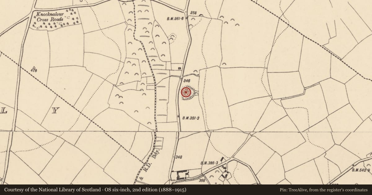 Ordnance Survey six-inch map, 2nd edition (1888–1915) covering the location of Ringfort - rath, Bolinrush, County Wexford, with a pin at the register's coordinates