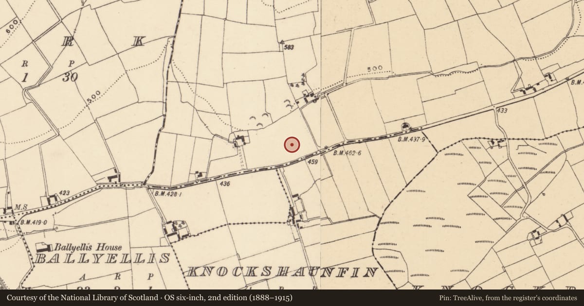 Ordnance Survey six-inch map, 2nd edition (1888–1915) covering the location of Ringfort - unclassified, Motabower, County Wexford, with a pin at the register's coordinates