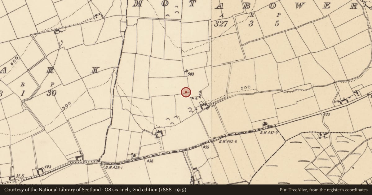 Ordnance Survey six-inch map, 2nd edition (1888–1915) covering the location of Millstone quarry, Motabower, County Wexford, with a pin at the register's coordinates