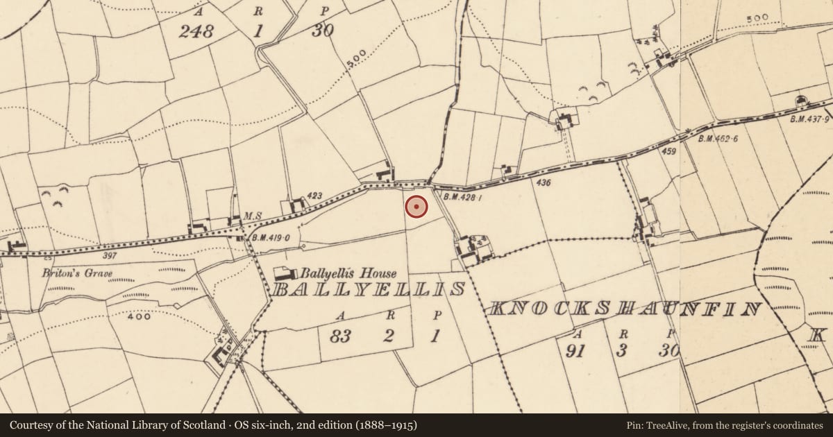 Ordnance Survey six-inch map, 2nd edition (1888–1915) covering the location of Standing stone, Ballyellis, County Wexford, with a pin at the register's coordinates