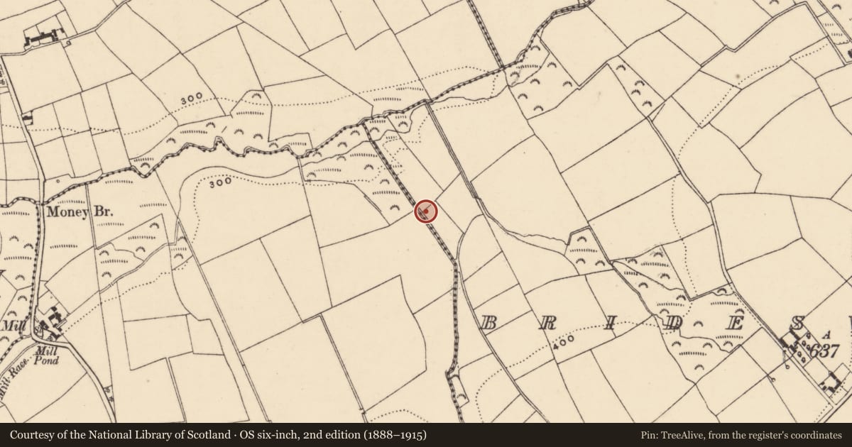 Ordnance Survey six-inch map, 2nd edition (1888–1915) covering the location of Standing stone, Brideswell Big, County Wexford, with a pin at the register's coordinates