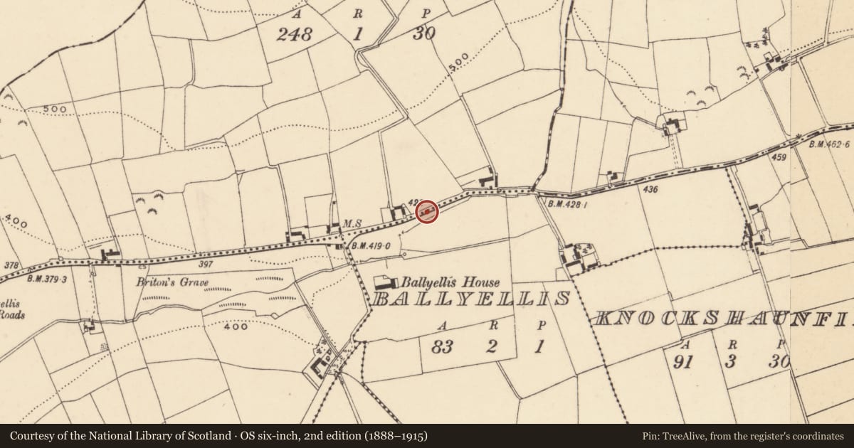 Ordnance Survey six-inch map, 2nd edition (1888–1915) covering the location of Battlefield, County Wexford, with a pin at the register's coordinates