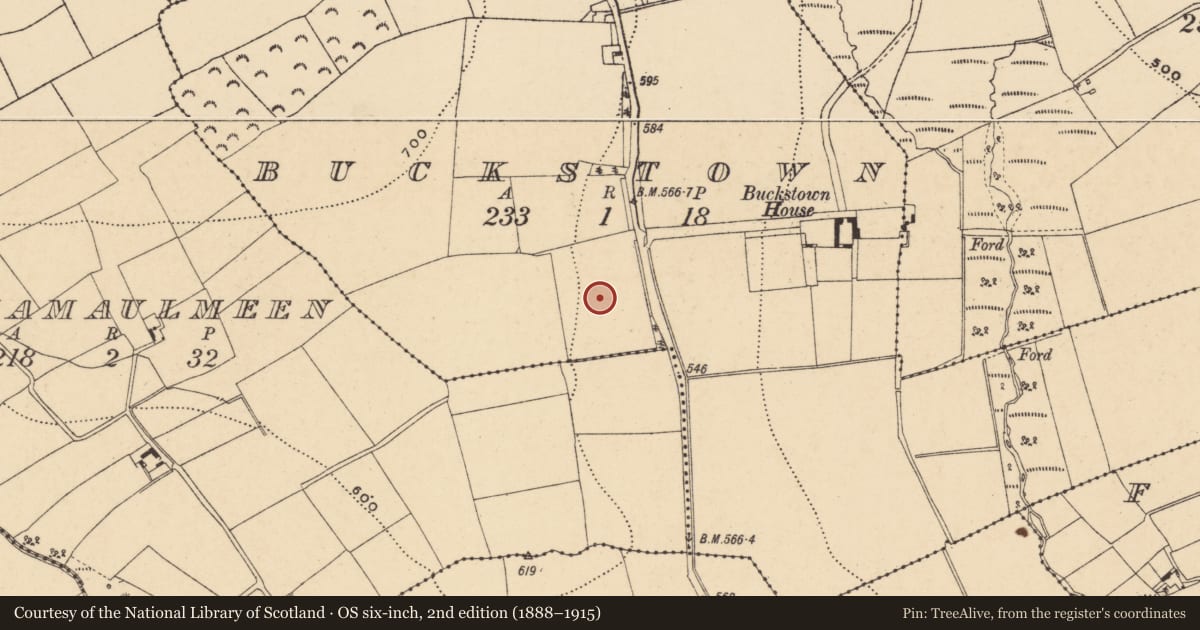 Ordnance Survey six-inch map, 2nd edition (1888–1915) covering the location of Standing stone, Buckstown, County Wexford, with a pin at the register's coordinates