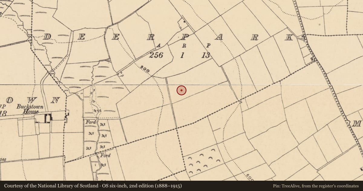 Ordnance Survey six-inch map, 2nd edition (1888–1915) covering the location of Ecclesiastical site, Deerpark, County Wexford, with a pin at the register's coordinates