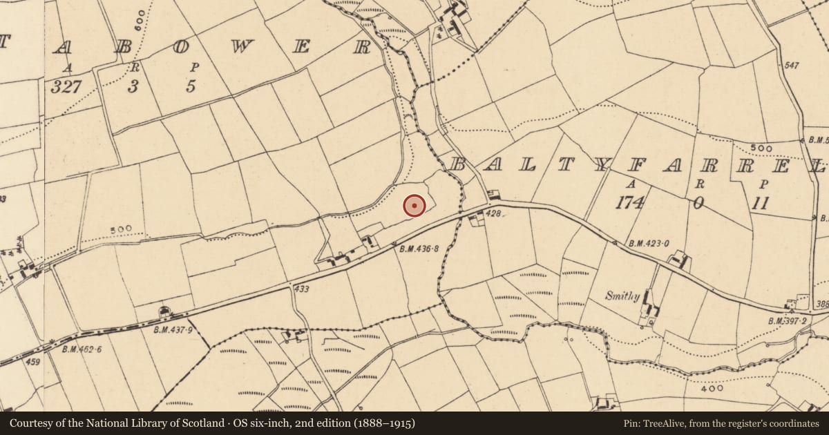 Ordnance Survey six-inch map, 2nd edition (1888–1915) covering the location of Enclosure, Motabower, County Wexford, with a pin at the register's coordinates