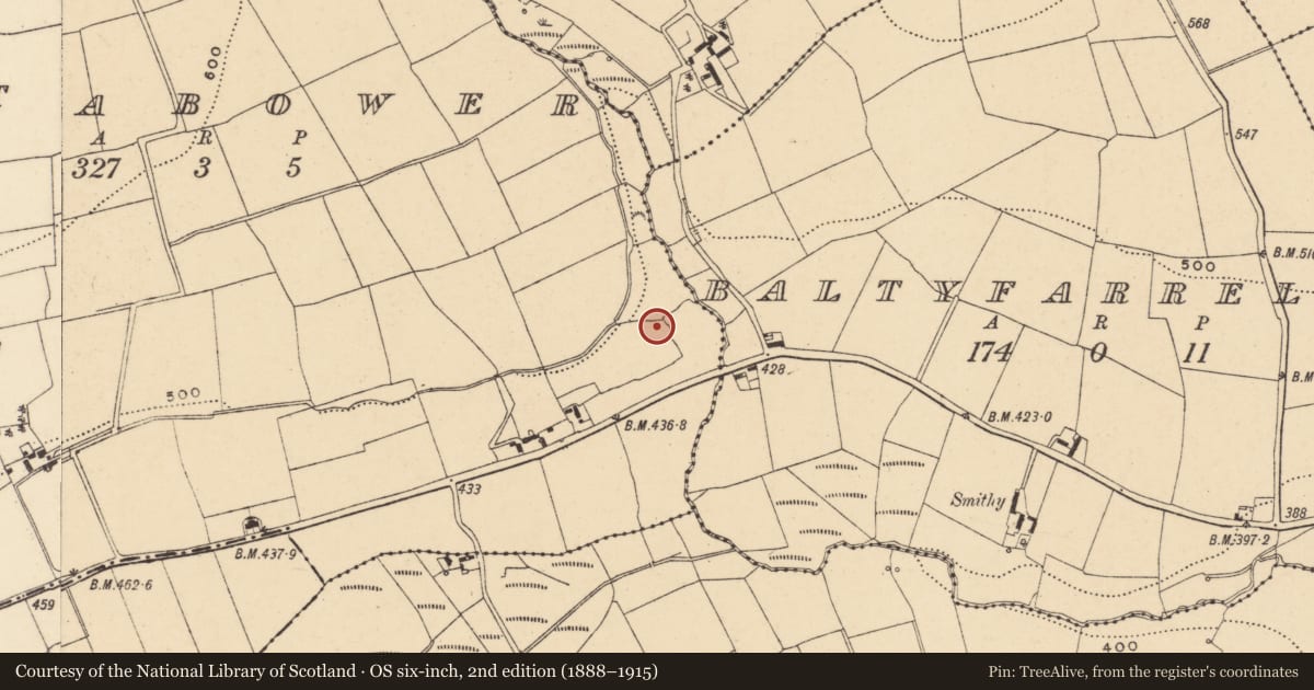 Ordnance Survey six-inch map, 2nd edition (1888–1915) covering the location of Ringfort - rath, Motabower, County Wexford, with a pin at the register's coordinates