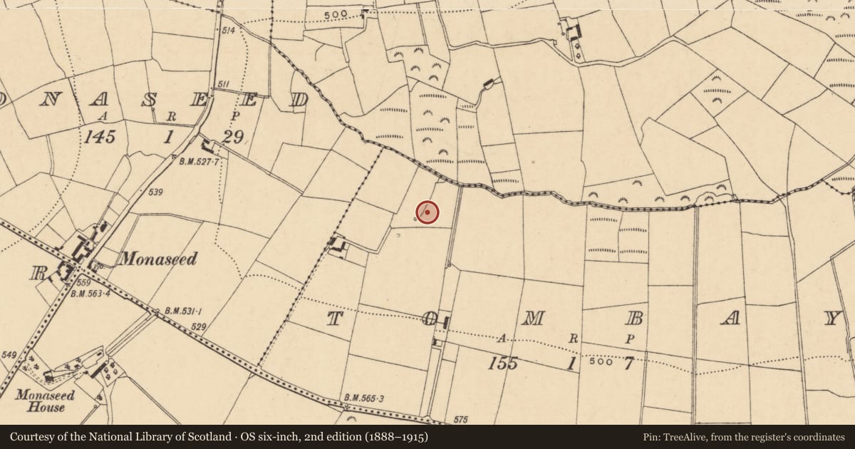 Ordnance Survey six-inch map, 2nd edition (1888–1915) covering the location of Fulacht fia, Tombay, County Wexford, with a pin at the register's coordinates