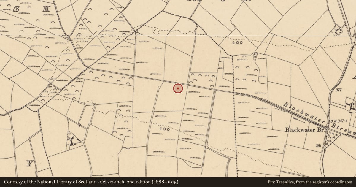 Ordnance Survey six-inch map, 2nd edition (1888–1915) covering the location of Standing stone, Bolany, County Wexford, with a pin at the register's coordinates