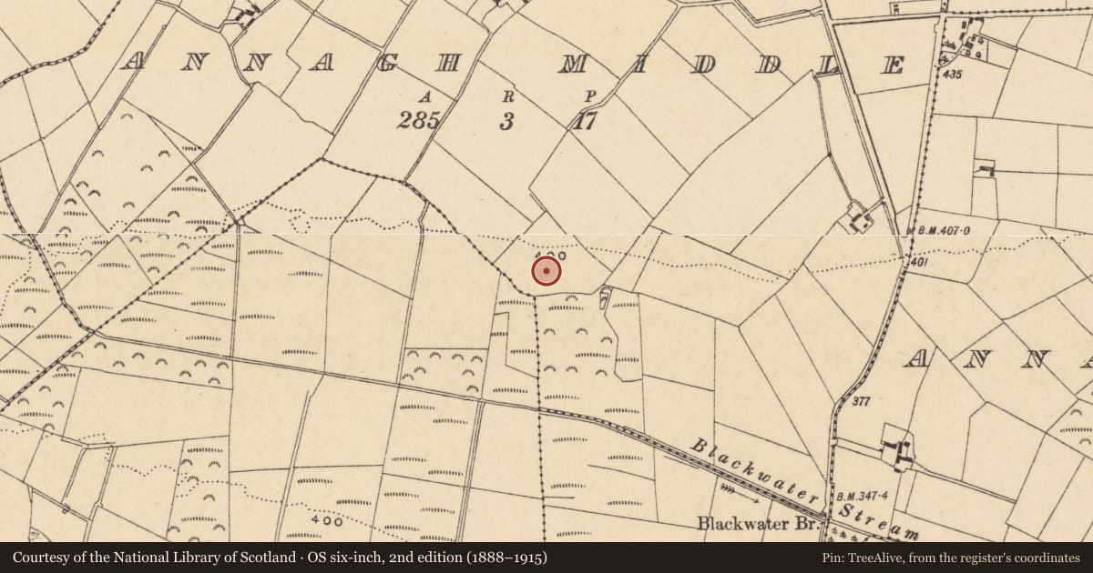 Ordnance Survey six-inch map, 2nd edition (1888–1915) covering the location of Standing stone, Annagh Middle, County Wexford, with a pin at the register's coordinates