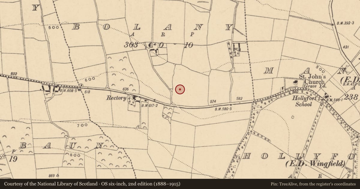 Ordnance Survey six-inch map, 2nd edition (1888–1915) covering the location of Standing stone, Bolany, County Wexford, with a pin at the register's coordinates