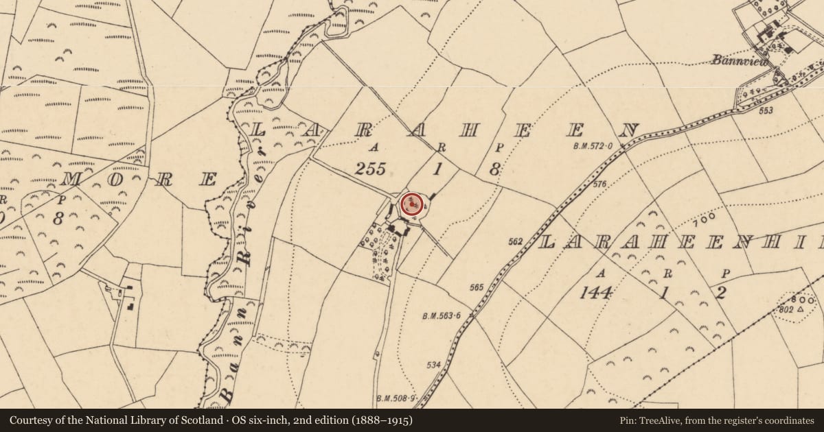 Ordnance Survey six-inch map, 2nd edition (1888–1915) covering the location of Ringfort - rath, Laraheen, County Wexford, with a pin at the register's coordinates