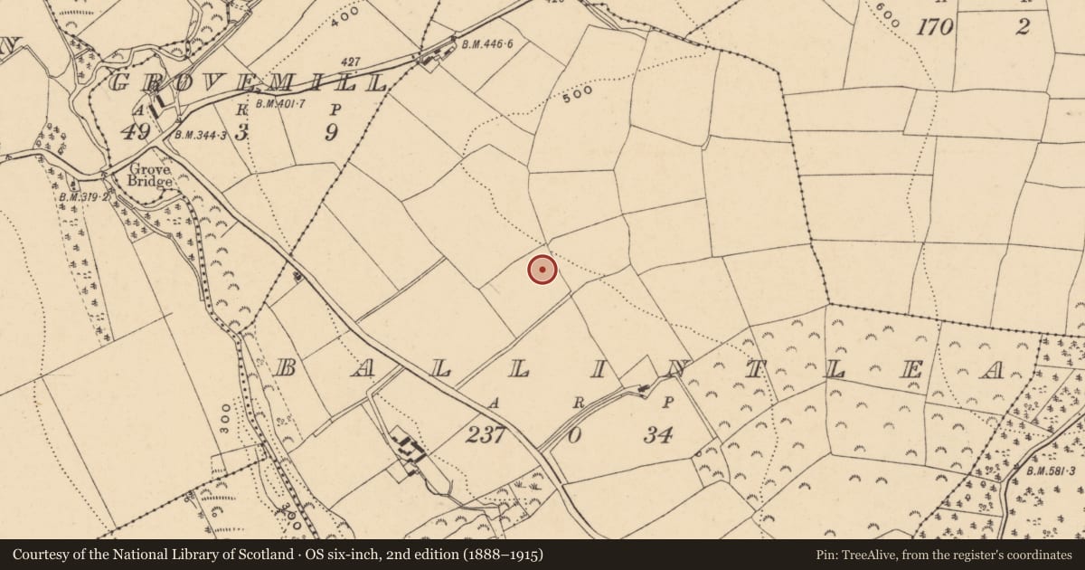 Ordnance Survey six-inch map, 2nd edition (1888–1915) covering the location of Standing stone, Ballintlea (Gorey By, Kilnahue Par.), County Wexford, with a pin at the register's coordinates