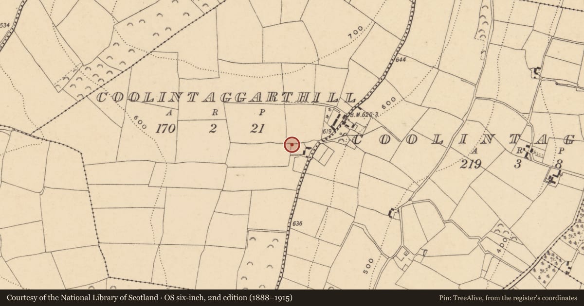 Ordnance Survey six-inch map, 2nd edition (1888–1915) covering the location of Standing stone, Coolintaggarthill, County Wexford, with a pin at the register's coordinates