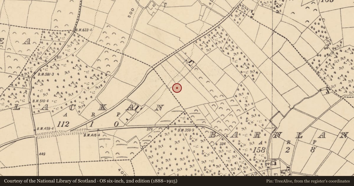 Ordnance Survey six-inch map, 2nd edition (1888–1915) covering the location of Standing stone, Barnland, County Wexford, with a pin at the register's coordinates