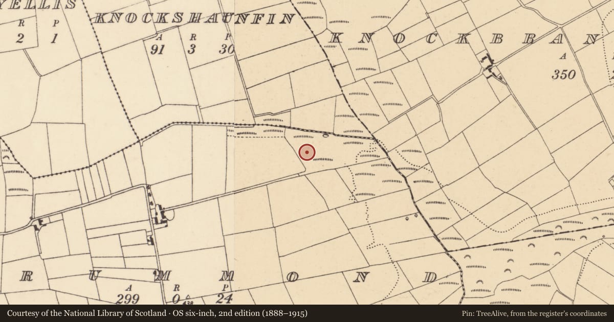 Ordnance Survey six-inch map, 2nd edition (1888–1915) covering the location of Fulacht fia, Drummond, County Wexford, with a pin at the register's coordinates