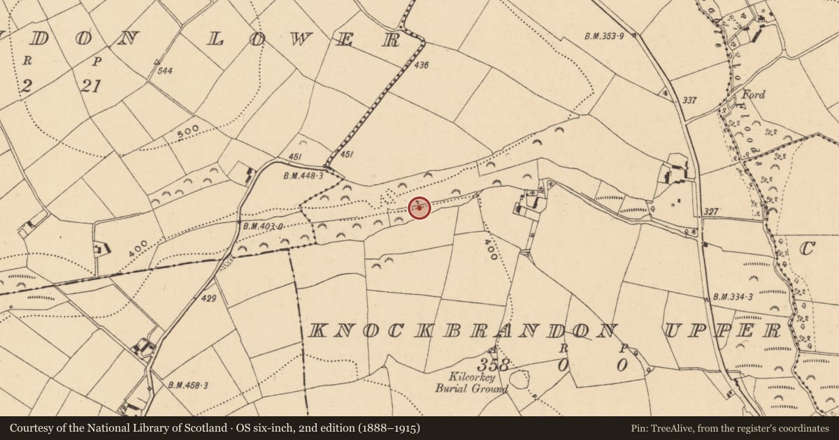 Ordnance Survey six-inch map, 2nd edition (1888–1915) covering the location of Mass-rock, Knockbrandon Upper, County Wexford, with a pin at the register's coordinates