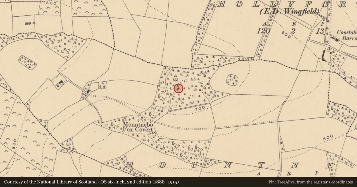 Ordnance Survey six-inch map, 2nd edition (1888–1915) covering the location of Ringfort - rath, Mountnebo, County Wexford, with a pin at the register's coordinates