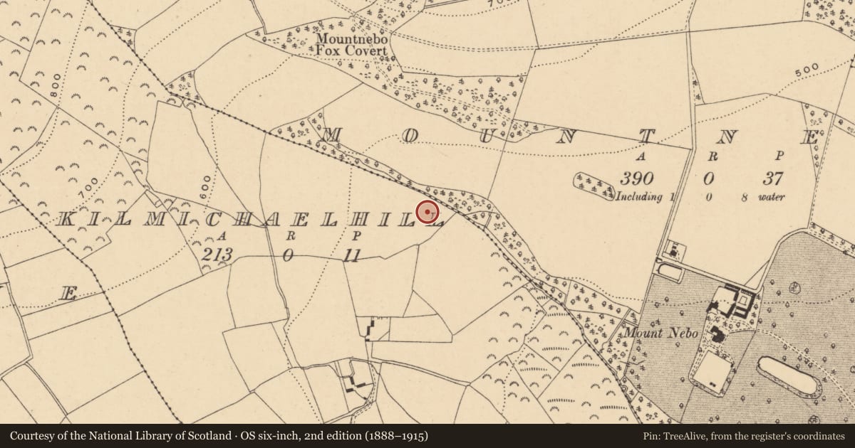 Ordnance Survey six-inch map, 2nd edition (1888–1915) covering the location of Fulacht fia, Kilmichael Hill, County Wexford, with a pin at the register's coordinates