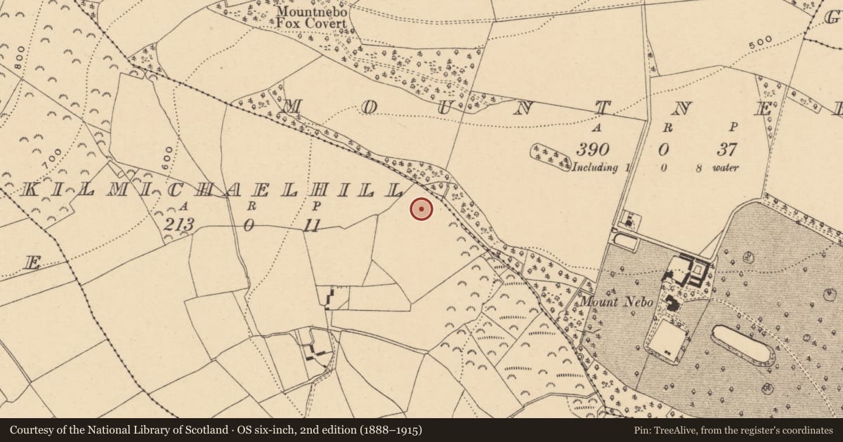 Ordnance Survey six-inch map, 2nd edition (1888–1915) covering the location of Standing stone, Kilmichael Hill, County Wexford, with a pin at the register's coordinates
