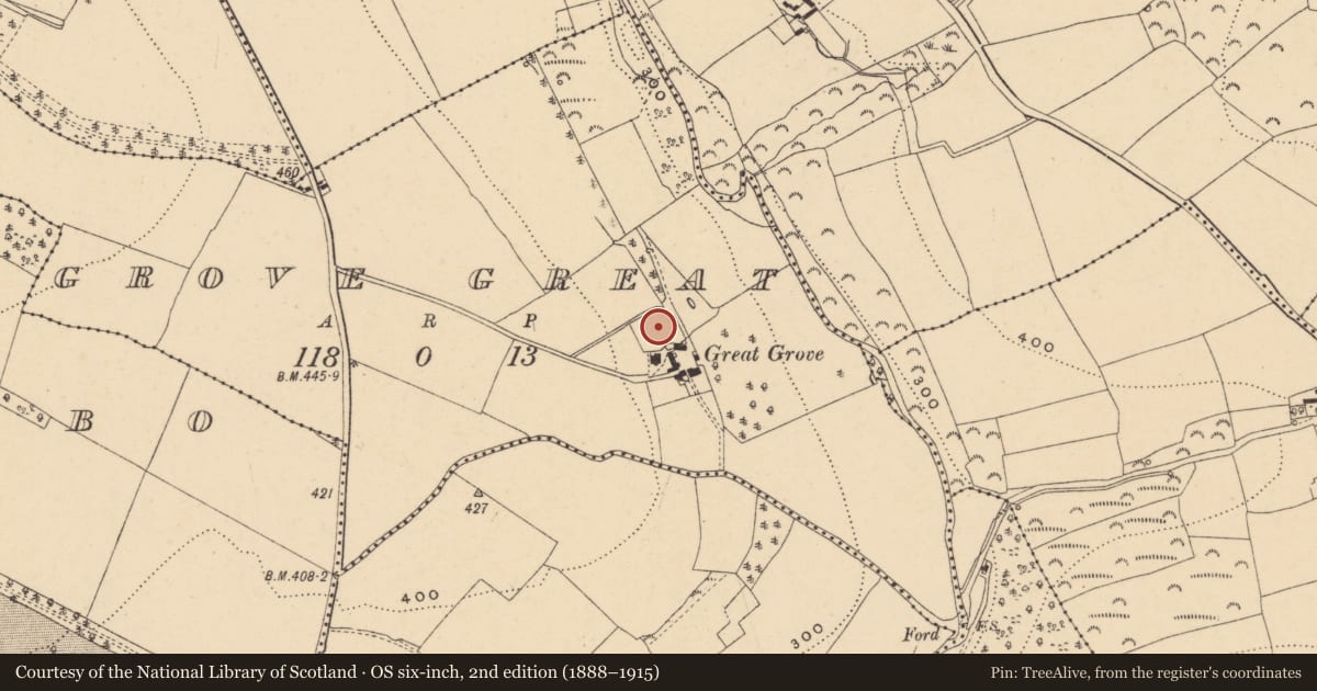 Ordnance Survey six-inch map, 2nd edition (1888–1915) covering the location of Ringfort - unclassified, Grove Great, County Wexford, with a pin at the register's coordinates