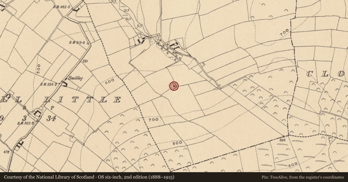 Ordnance Survey six-inch map, 2nd edition (1888–1915) covering the location of Ringfort - rath, Ballyconran, County Wexford, with a pin at the register's coordinates
