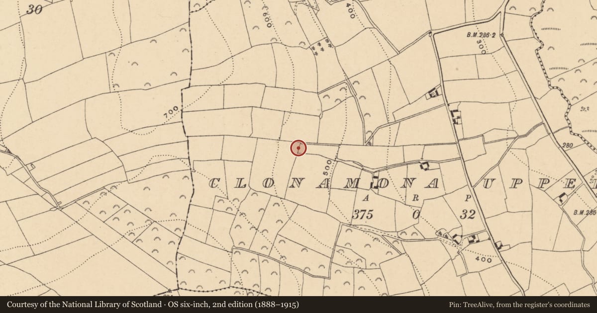 Ordnance Survey six-inch map, 2nd edition (1888–1915) covering the location of Standing stone - pair, Clonamona Upper, County Wexford, with a pin at the register's coordinates