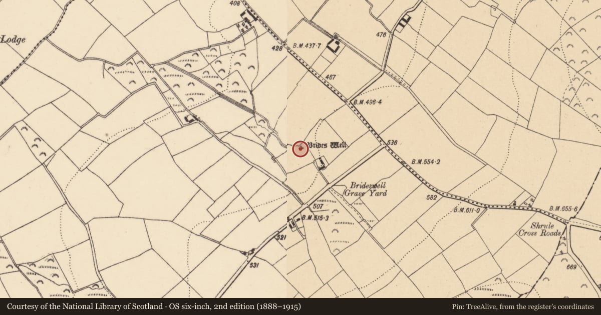 Ordnance Survey six-inch map, 2nd edition (1888–1915) covering the location of Ritual site - holy well, Brideswell Big, County Wexford, with a pin at the register's coordinates